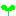 芽
