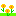 春