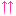 ↑↑