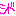 ここ