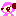 パキケのピンク♪