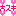 大スキ