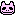 skul cat