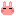 うさぎ