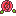 rose1