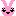 ウサギ