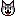 柴犬