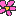 お花ちゃん