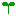 芽