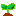 発芽