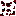 レオパード