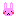 うさぎM