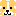 ボーダーコリー