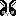 うさぎ　パンダブラック
