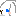 うさぎ　ブルーアイドホワイト