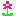 かわゆいお花