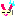【ウサギ】ガーン