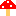 きのこ