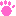 にくきゅう