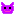 ネコ★