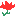華