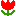 リップ