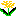 たんぽぽ