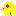 セキセイインコ　ルチノー