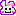 くまこ