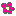 aisu 花