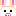 ブタウサギ～