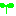 芽