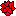 薔薇