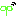 草