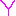 ワイ