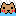 カピバラお風呂に入る