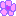 flower p
