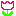 チューリップ