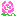 バラ　ｓｗｅｅｔ