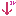 ↓
