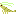 ホテイアオイ