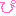 ぴpr