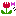 チューリップ