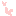 ねこ１