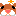 ハムスター