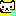 B猫