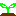めがでたっ