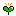 双葉