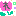 akn