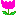 チューリップ